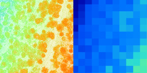 Digital terrain model DTM and digital surface model DSM generation